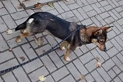 KAWA -poleca sie na dzień dobry :),  mazowieckie W
