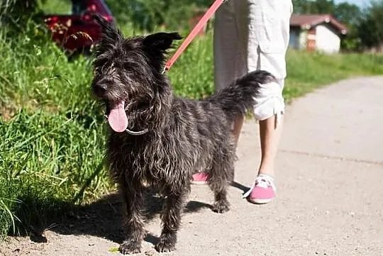 Cudna Sara z niezliczoną ilością energii :) Adoptu