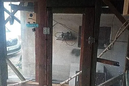 Woliera dla ptaków, Śląskie, Żory