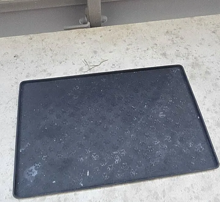 Gumowa podstawka na miski w łapki, Dolnośląskie, Wrocław