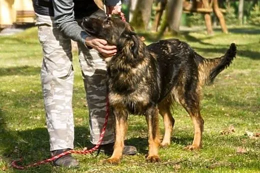 Keri, piękna Keri... :),  warmińsko-mazurskie Olsz