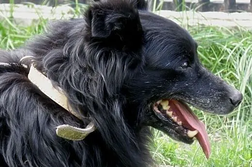 Tobi czy będzie jeszcze szczęśliwy  ,  mazowieckie
