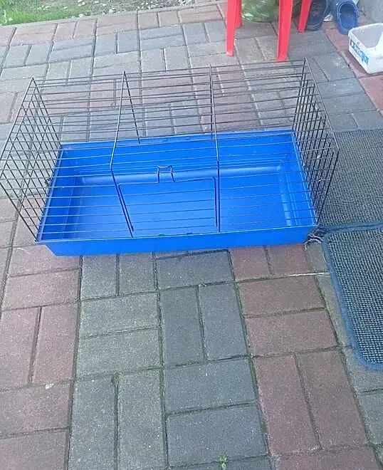Klatka dla królika, Śląskie, Myszków