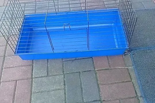 Klatka dla królika, Śląskie, Myszków