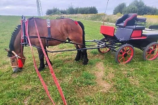 Sprzedam Bryczke wagonetke