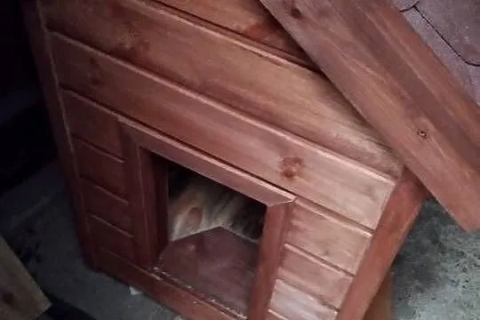 Budy dla psów pod wymiary robione, Pomorskie, Sierakowice