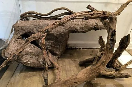 Terrarium szklane