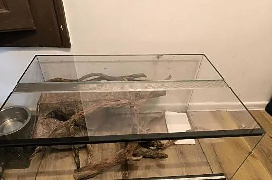Terrarium szklane, Mazowieckie, Pruszków