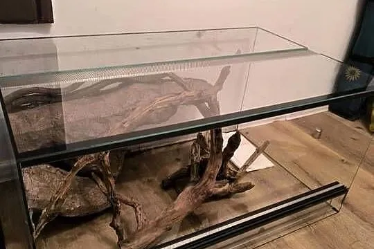 Terrarium szklane, Mazowieckie, Pruszków