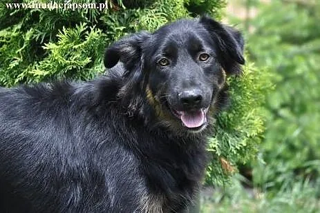 Trufel- Cześć! Zaprzyjaźnimy się?,  mazowieckie No