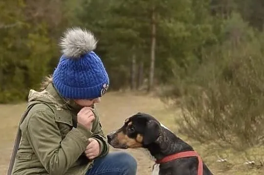 Ramzes - widzi sercem i szuka przyjaciela na całe życie., , Dąbrówka