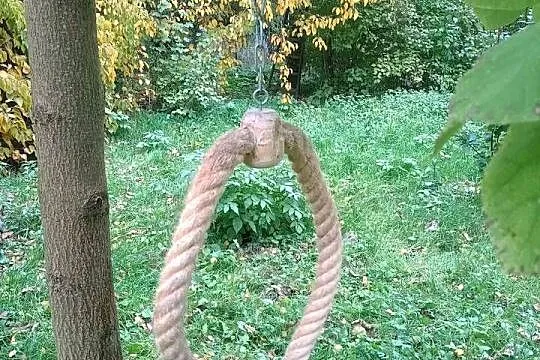 Zabawka/huśtawka dla dużych papug