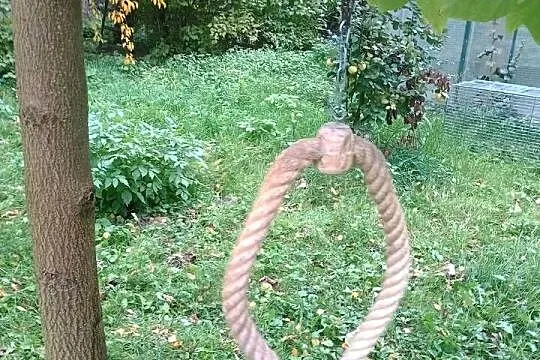 Zabawka/huśtawka dla dużych papug, Świętokrzyskie, Wiślica