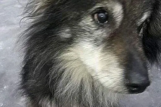 Dziadzio Tuptuś szuka pilnie kochającego i odpowie