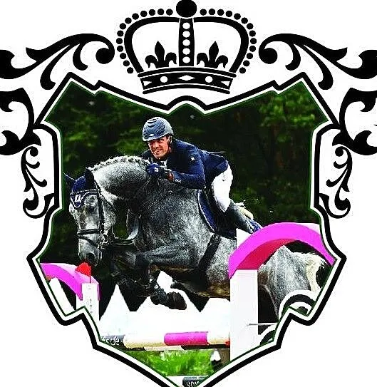 Stanówka 1700,- zł, premiowanym w Niemczech Ogierem Pr.H.BINGO BOY - Black Jack (Cornet Obolensky x Heraldik xx)/Classe VDL x C, , Nowy