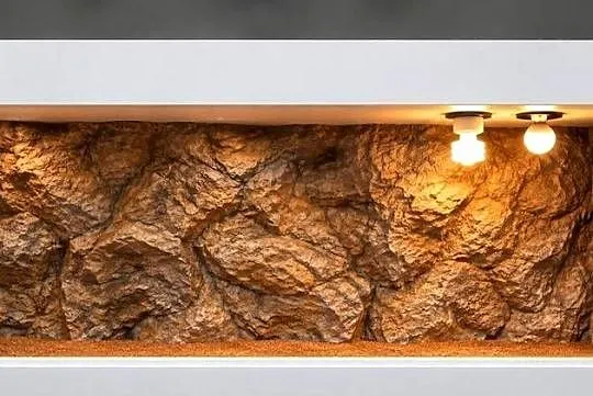 Terrarium dla agamy brodatej żółwia greckiego