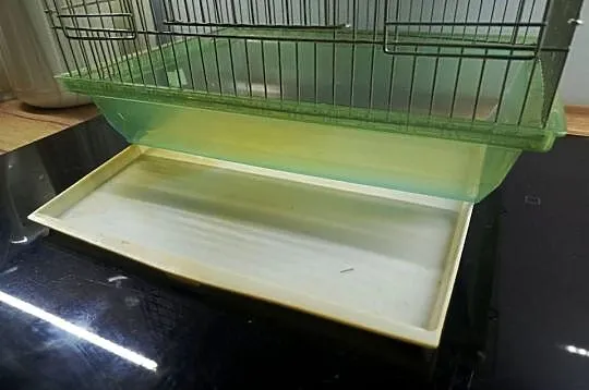 Klatka dla małych ptaków, papugi falistej, kanarki, Śląskie, Rydułtowy