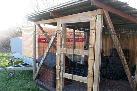 kojec dla psa drewniany wiata