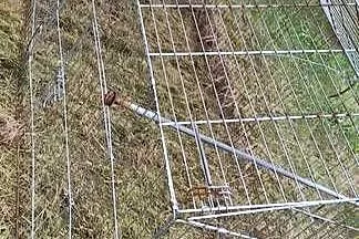 Kurnik dla kilka kur, Wielkopolskie, Wysogotowo