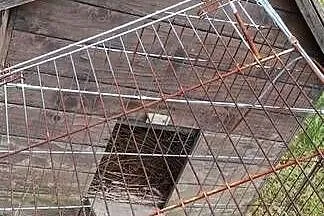 Kurnik dla kilka kur, Wielkopolskie, Wysogotowo