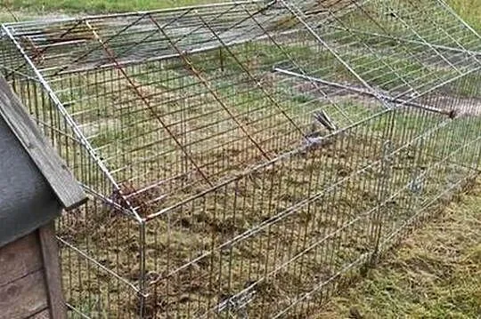 Kurnik dla kilka kur, Wielkopolskie, Wysogotowo