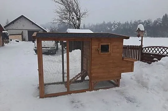 Kurnik dla kur z wolierą, Małopolskie, Jordanów