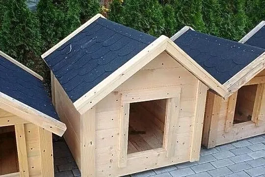 Budy dla psów