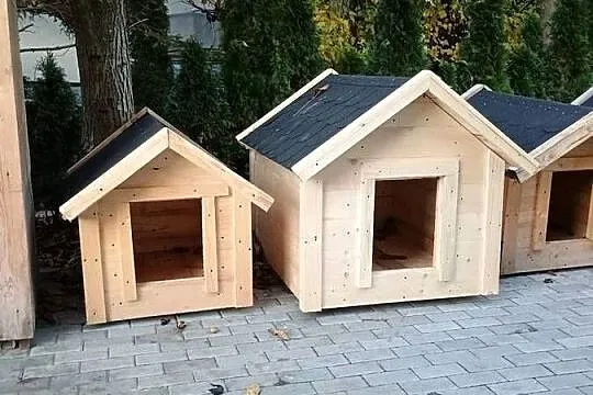 Budy dla psów, Małopolskie, Dąbrowa Tarnowska