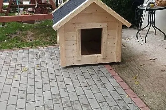 Budy dla psów, Małopolskie, Dąbrowa Tarnowska