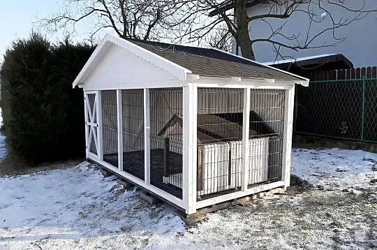 Kojec dla psa, Małopolskie, Jordanów