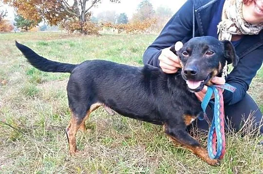 Spójrz na Czarusia ! Jego oczy powiedzą Ci wszystk