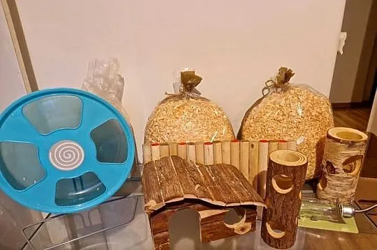 Terarium 80x40x50 z dodatkami dla chomika, Mazowieckie, Warszawa