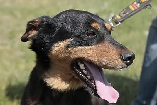 Xena