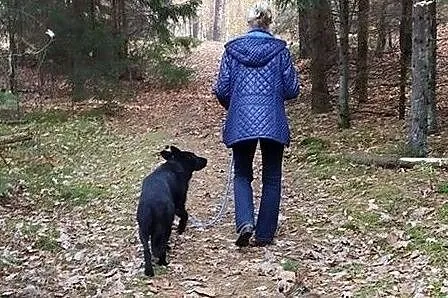 Uratuj Grincza..., Warmińsko-mazurskie, Olsztyn