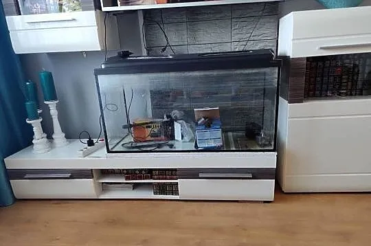 Akwarium oddam 250 L