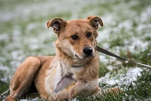 Pyszna - da ci więcej szczęścia niż pyszne ciacho: