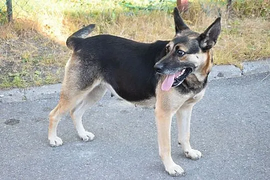 Maja, sunia niepotrzebna nikomu, najcudowniejszy przytulas