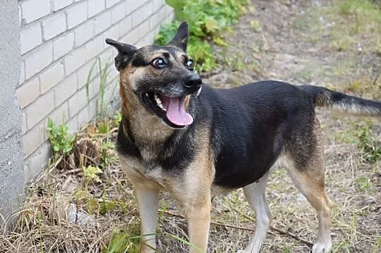 Maja, sunia niepotrzebna nikomu, najcudowniejszy p