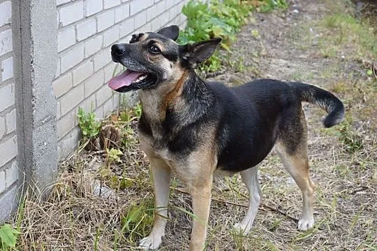 Maja, sunia niepotrzebna nikomu, najcudowniejszy p