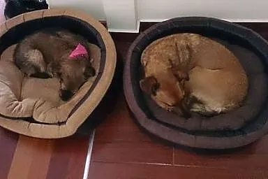 Najsłodsza Rózia. Nie można jej nie pokochać!,  ma