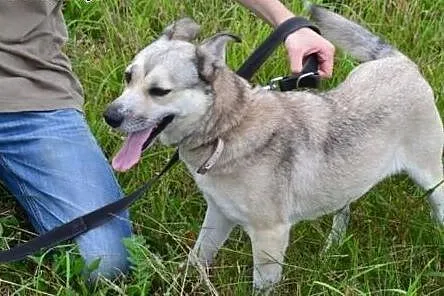 Różyczka potrzebuje kogoś kto ją pokocha raz na ca