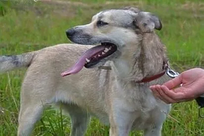 Różyczka potrzebuje kogoś kto ją pokocha raz na ca