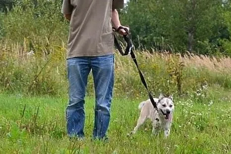 Różyczka potrzebuje kogoś kto ją pokocha raz na ca