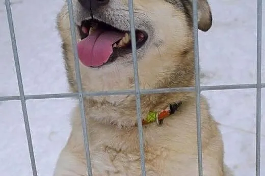 Różyczka potrzebuje kogoś kto ją pokocha raz na ca