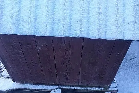 Buda dla psa duża, Małopolskie, Proszowice