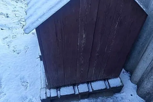 Buda dla psa duża, Małopolskie, Proszowice