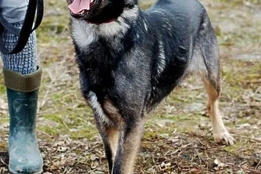 Marysia(sierotka) czeka na kochający dom,  łódzkie