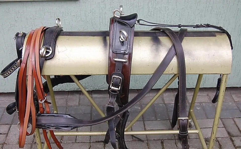 Sprzedam szor pojedynkowy konie 140cm-155cm