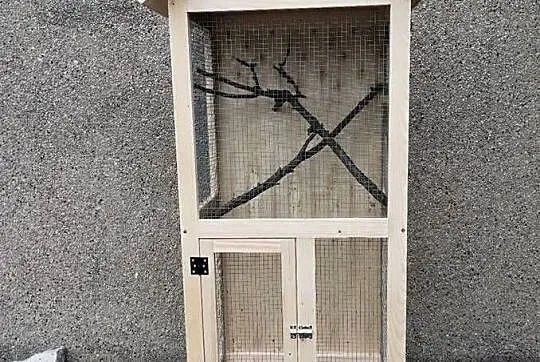 Klatka woliera, Śląskie, Wodzisław Śląski