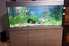Akrawium 240 l